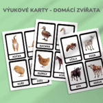 Állatok megismerése